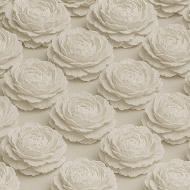 Rosa Aberta (20 unidades)